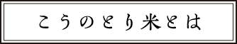 定期便セット